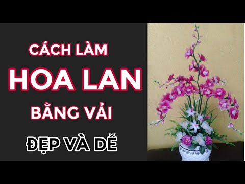 Video: Cách Làm Hoa Lan Bằng Vải