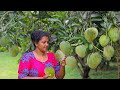 আম ও ফলমূলের তালিকা 🍎
