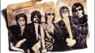 Traveling Wilburys Inside Out
