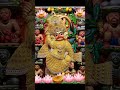 Balaji Sarkar .kashtbhnjan saranpur Balaji darshan.viral .public darshan.