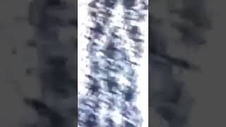 Sibel Ateş Düştü Şalvara