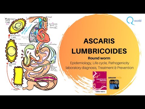 Ascaris lumbricoides (Round worm): Parasitology simplified: Dr. Tanmay Mehta: For NEXT,USMLE,NEET PG