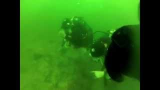 Scuba Diver Panic