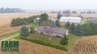 714 McCready Rd, Bothwell | Farms For Sale In Ontario