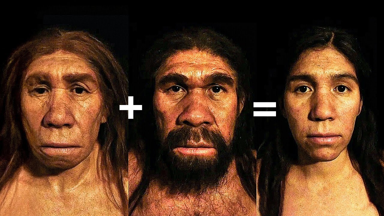 Los descubrimientos más recientes sobre la evolución humana que reescriben la historia