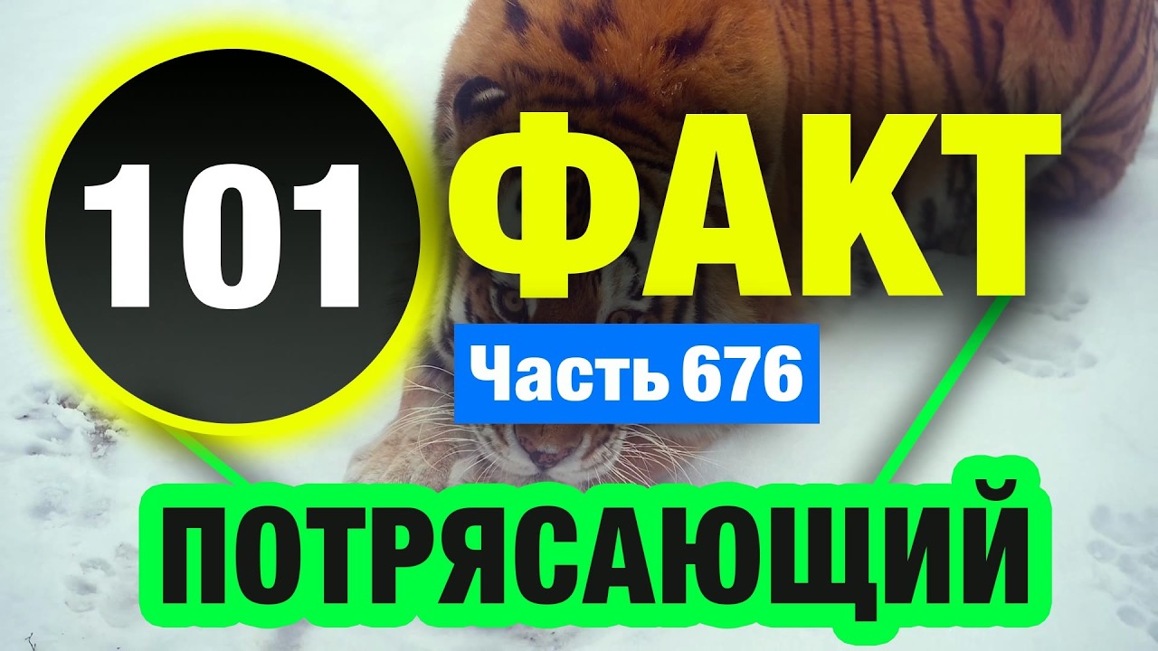 101 Факт, Который Заставит Задуматься