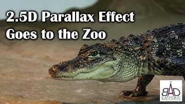 2 5D Parallax Effect Goes to the Zoo
