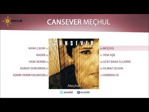 Meçhul (Cansever)