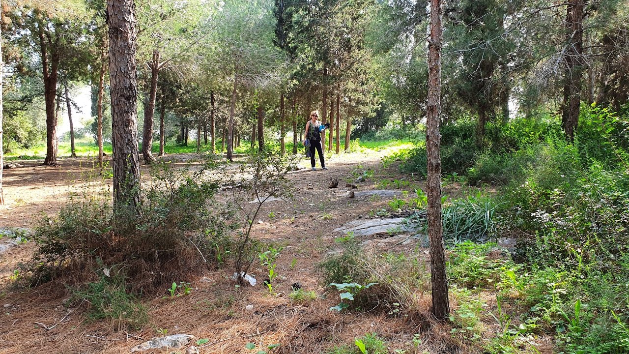 פארק יער שוהם - הרמוניה של טבע וארכיאולוגיה