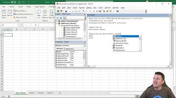 07 - Microsoft Excel VBA Fundamentals - Excel