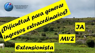 ESTA es la forma correcta para bajar recursos (i-ROP 7.0 APP PARA TU CELULAR) screenshot 4