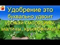 Лучшее удобрение Удвоит урожай Чудо-подкормка для смородины малины! Очень просто! Сибирский Сад