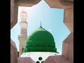 وصلة جماعية يارب هيء لنا من أمرنا رشدا إنشاد أحباب السادة الشاذلية