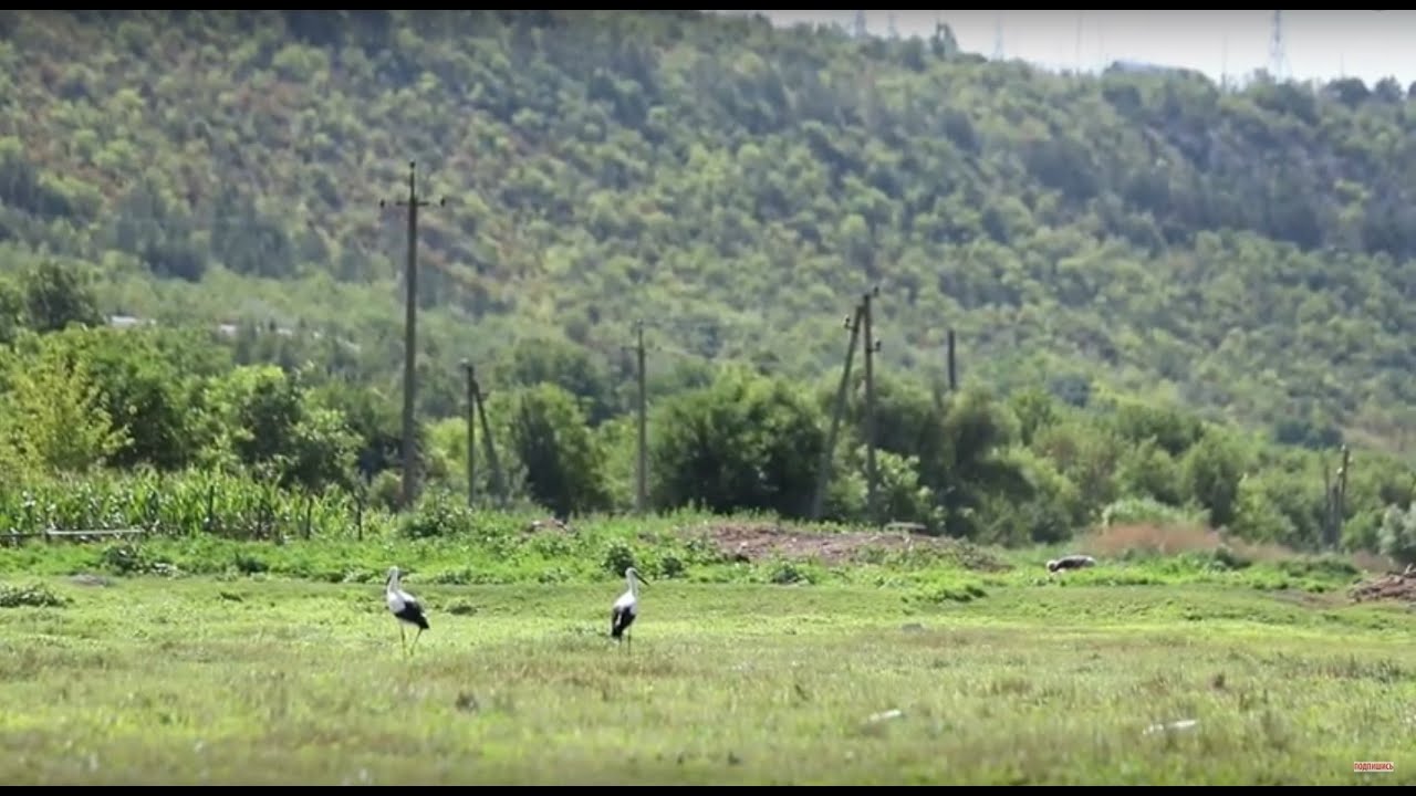 В путь! Село Выхватинцы - 20/08/20