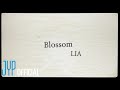 ITZY LIA &quot;Blossom&quot; Lyric Video