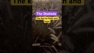 Shahada  Recite U0026 Reflect Today  shahada faith allah shortsfeed shorts islamicshorts fyp
