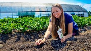 Our SELF-SUFFICIENCY FORMULA: How Much to Plant for a Year's Supply of Food (Part 2)