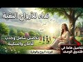 نداء إلى الأرواح الطيبة كيف تجذب الأشباه وتتحرر من وحشة الطريق