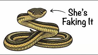 Never Kill This Snake — It's Just Pretending to Be Dangerous Why I Never Get Bit By Snakes And How You Can Avoid Snake Bites Too