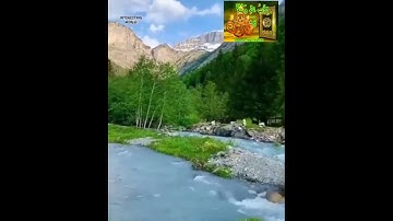 سورة الضحى بصوت يؤسر القلوب للقرئ: هشام الهراز