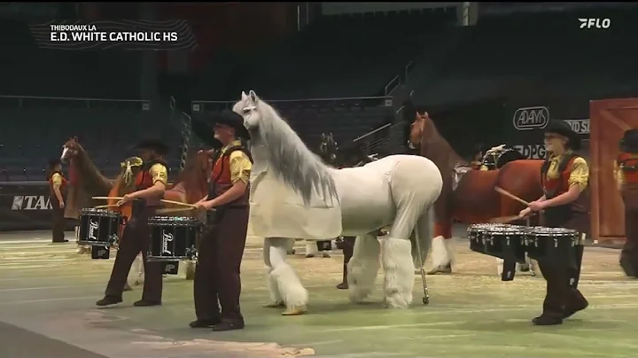 E D White Indoor Percussion 2025