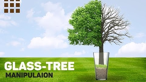 GLASS - TREE simple manipulation | how to do manipulation in photoshop | Photoshop tutorial