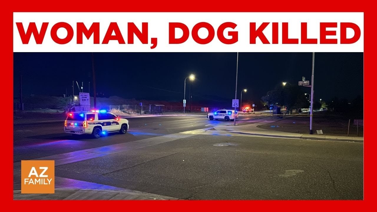 Woman killed by vehicle while checking on dog that was hit in Phoenix ...