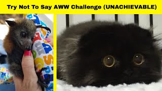 Try Not To Say AWW Challenge￼ (UNACHIEVABLE)