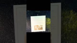 Headstone picture tells painful story.