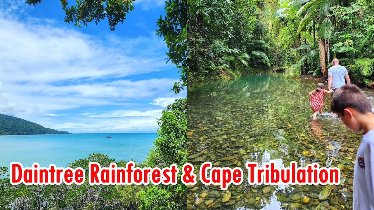 Daintree Rainforest and Cape Tribulation |  Travel with Ryan & Claire