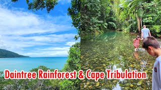 Daintree Rainforest And Cape Tribulation Travel With Ryan & Claire