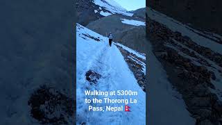 Walking at 5300m towards the Thorong La Pass, Nepal 🇳🇵  Himalayas. #annapurna #annapurnacircuittrek