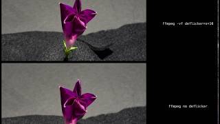 Measure flicker in time-lapse video