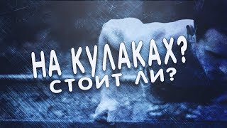 Чем отжимания на кулаках отличаются от обычных??!!