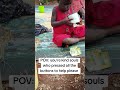 Please any donation can help Peace