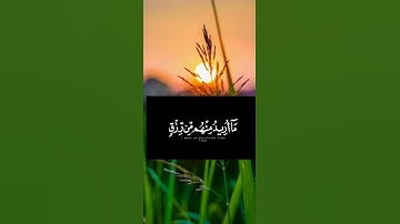 سورة الذاريات (وذكر فإن الذكرى تنفع المؤمنين)