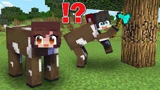 Escape Or Get Eaten As Cows in Minecraft ( Tagalog )