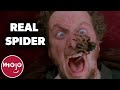 Top 10 home alone facts that will ruin your childhood