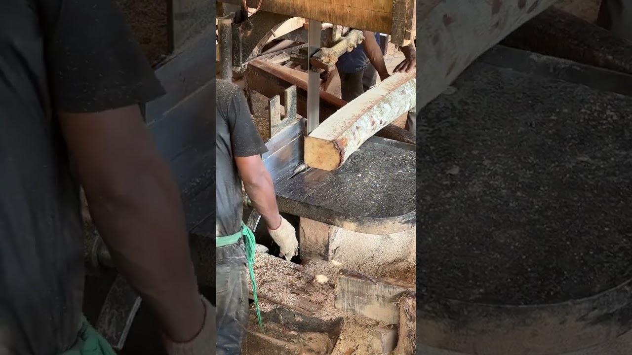 The Precision Skills of Expert Sawmill Operators Unveiled