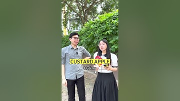 Cách đọc hiểu từ ghép trong tiếng Anh| Ms Hoa TOEIC