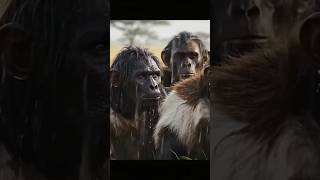 Life Million Years Ago #16