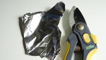 How to clean rusted gardening tools