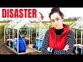 I tried restoring my glass greenhouse but it went wrong  potting bench