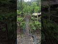 rangtay