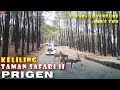 Taman Safari II Prigen - Safari Adventure & Zona Rekreasi