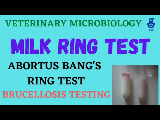 PDF) The use of the milk ring tet and rose Bengal test in brucellosis  control and eradication in Nigeria