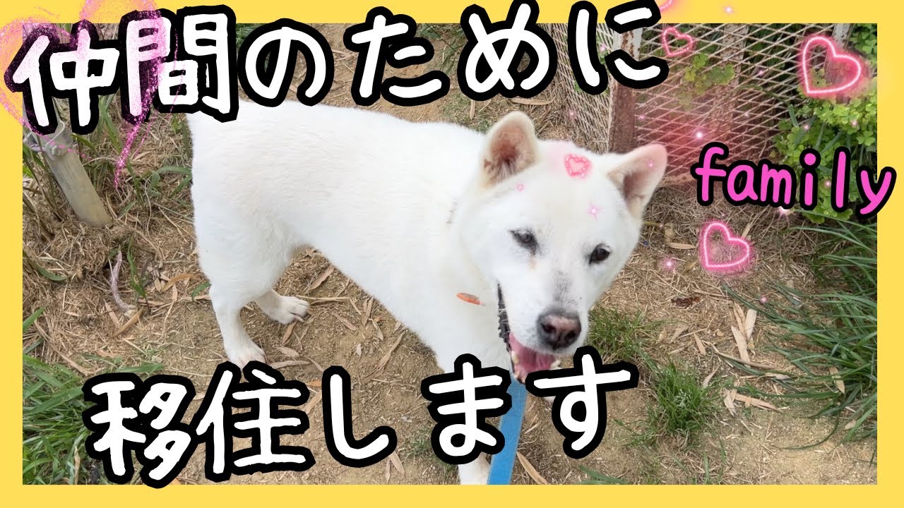 ケンのために人肌脱いで移住する男前な北斗(笑)