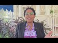 Dr Angela Brown Burke says videos attacking media, politicians are dangerous