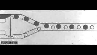 Droplet based microfluidics ESPCI LBC Interdigitation