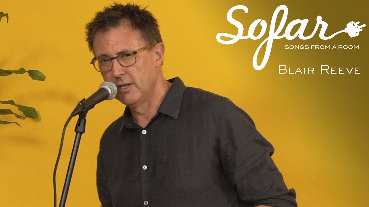 The Cockroach of Cocoa Isle